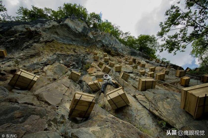 悬崖峭壁蜂蜜箱