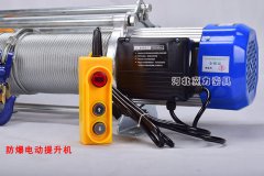 上海用户成功定制20台防爆电动