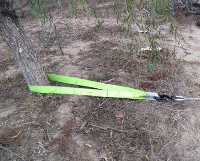 吊装带作为抱树带的使用