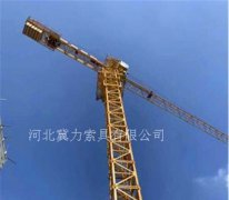 速差防坠器保护塔吊司机安全
