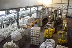 彩色吊装带没上色不影响拉力